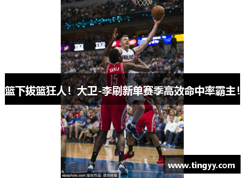 篮下拔篮狂人！大卫-李刷新单赛季高效命中率霸主！